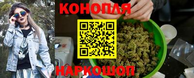 Альфа ПВП Обь