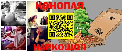 Альфа ПВП Обь