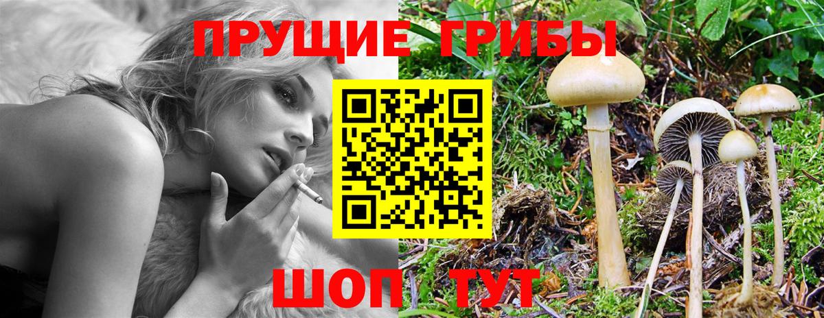 Ржев  Галлюциногенные грибы мицелий  Галлюциногенные грибы мухоморы  Вход с VPN 