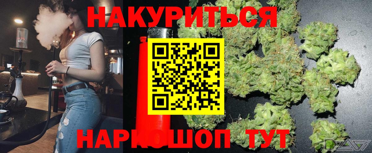 Конопля сатива Ржев